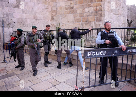 Jérusalem, Israël. 20 Février, 2016. Les forces de sécurité israéliennes contrôler un jeune Palestinien à l'entrée de la Porte de Damas à l'extérieur de la vieille ville de Jérusalem-Est Israël le 20 février 2016. La porte de Damas a été le lieu de nombreuses tentatives d'attaques de terreur et de couteau depuis octobre 2015. Credit : Eddie Gerald/Alamy Live News Banque D'Images