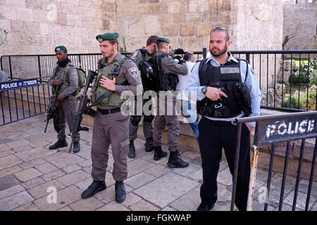 Jérusalem, Israël. 20 Février, 2016. Les forces de sécurité israéliennes contrôler un jeune Palestinien à l'entrée de la Porte de Damas à l'extérieur de la vieille ville de Jérusalem-Est Israël le 20 février 2016. La porte de Damas a été le lieu de nombreuses tentatives d'attaques de terreur et de couteau depuis octobre 2015. Credit : Eddie Gerald/Alamy Live News Banque D'Images