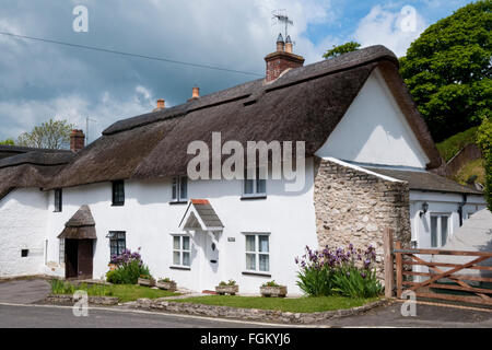 Chaumières anglais traditionnel dans l'Ouest, Lulworth Dorset, Angleterre Banque D'Images