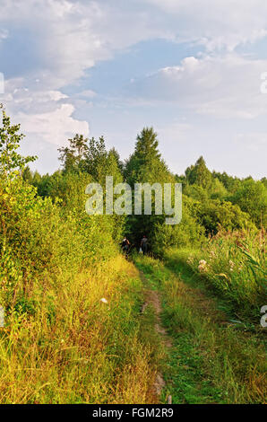 La boutique mobile pour des produits sur le chariot dans le village.Après shoping - go home. Banque D'Images