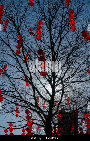 Lanternes rouges ornent les arbres dans le centre-ville de Manchester pour célébrer le Nouvel An chinois Banque D'Images