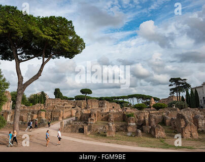 Vestiges de la Domus Augustana, Colline du Palatin, Rome, Latium, Italie Banque D'Images