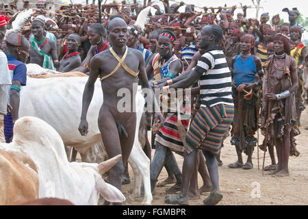 Le sud de l'Ethiopia-Hamer Tribe-Omo Valley Banque D'Images