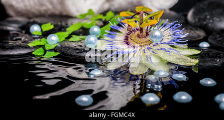 Spa still life of passiflora fleur, branches, serviettes empilées, pierres de basalte zen avec des gouttes et de perle dans l'eau d'ondulation Banque D'Images