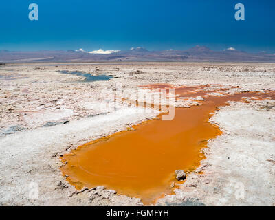 Salar de Atacama et Laguna Chaxa dans un proche de San Pedro de Atacama, Chili Banque D'Images