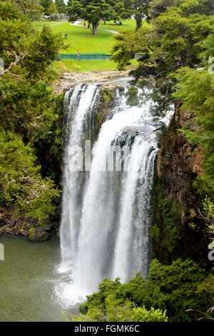 Northland Nouvelle-Zélande Cascade Banque D'Images