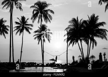 Silhouettes de palmiers sur une plage tropicale, la photographie en noir et blanc. Banque D'Images