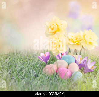 Les oeufs de Pâques sur prairie avec des fleurs de crocus et de narcisses Banque D'Images