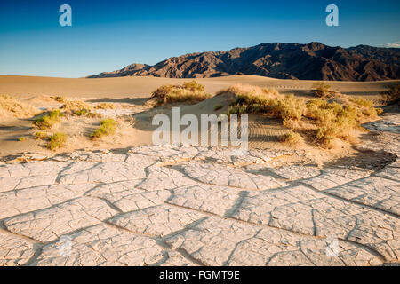 Télévision Mesquite Sand Dunes in Death Valley National Park, Californie Banque D'Images