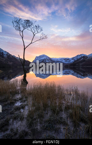 Beau lever de soleil sur la lande dans le Lake District Banque D'Images