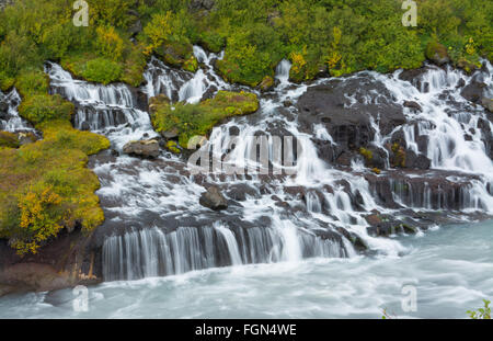 L'Islande lave Hraunfossar tombe dans la vallée de Reykholt dans l'ouest de l'Islande de nombreuses chutes le long de la falaise de Langjökull glacier Banque D'Images