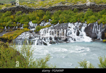 L'Islande lave Hraunfossar tombe dans la vallée de Reykholt dans l'ouest de l'Islande de nombreuses chutes le long de la falaise de Langjökull glacier Banque D'Images