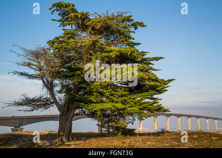 Pont de La Rochelle à l'île de Ré, Charente-Maritime France Banque D'Images