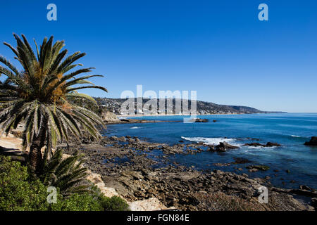 Une vue spectaculaire à la recherche au sud, le long de la côte à Laguna Beach en Californie avec l'Aloe Vera et de palmiers sur la falaise Banque D'Images