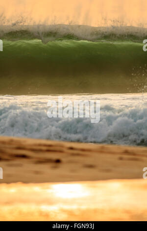 Big dans Banzai Pipeline pendant le coucher du soleil Banque D'Images