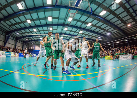 Manchester, UK, 21 février, 2016. London Lions contre Manchester Giants à Manchester. Win 86-67 Lions. copyright Carol Moir/Alamy Live News. Banque D'Images