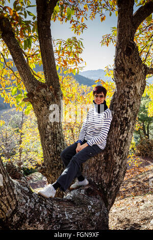 Femme sur un arbre, les feuilles d'automne forêt de châtaigniers, Igualeja Genal, Serrania de Ronda. La province de Malaga, Andalousie Le sud de SP Banque D'Images