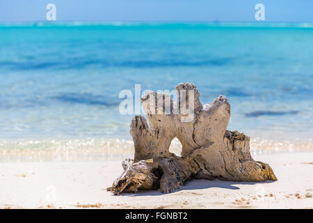 Publier sur la plage tropicale Banque D'Images