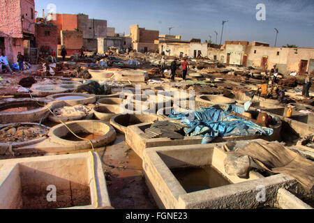 Marrakech, Maroc - jan 21 : des personnes non identifiées, l'exécution du travail dans une tannerie souk le 21 janvier 2010 au sein de la pêche artisanale marocaine Banque D'Images