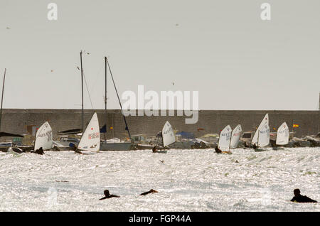 Fuengirola, Malaga, Andalousie, espagne. 20 Février, 2016. voiliers d'école de voile et de surf près de port. Banque D'Images