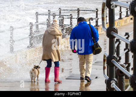 Nouvelle promenade de Brighton, Royaume-Uni, Wallasey. 22 févr. 2016. Météo France : Des vents forts continuent de battre le nord-ouest de l'Angleterre. Ces dog walkers sont trempés par la marée haute violer plus de nouvelles défenses maritimes de Brighton. Credit : Cernan Elias/Alamy Live News Banque D'Images