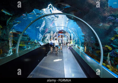 Visiteurs sur le S.E.A. Tapis roulant tunnel Aquarium, l'île de Sentosa, Singapour Banque D'Images