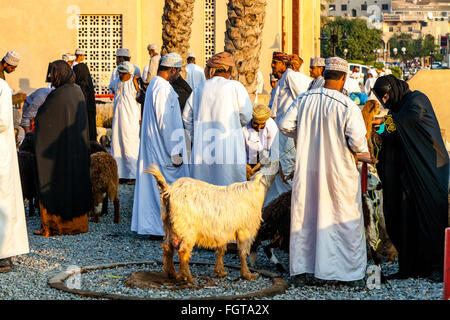 Le marché de l'élevage Vendredi, Ad Dakhiliyah Nizwa, Oman, région Banque D'Images