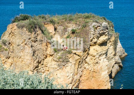 Lagos, Portugal, le 1 mai 2014 : Sea Gull beach Batata en attaque, Lagos, Algarve, Portugal Banque D'Images