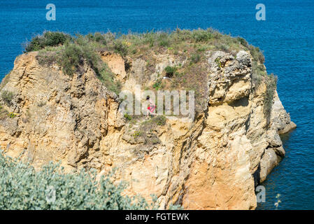 Lagos, Portugal, le 1 mai 2014 : Sea Gull beach Batata en attaque, Lagos, Algarve, Portugal Banque D'Images