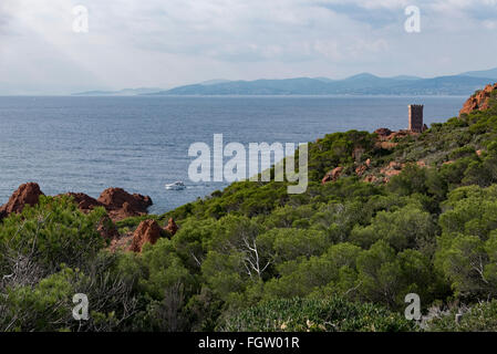 Tour sur l'île d'Ou Péninsule, Le Dramont, Agay, Saint-Raphaël, Dep. Var, Côte d'Azur, France Banque D'Images