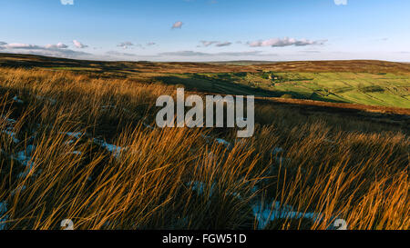 Coucher de soleil sur le North York Moors National park avec de grandes herbes et de coton une ferme isolée entourée de terres agricoles en hiver Banque D'Images