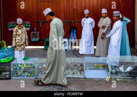 Le vendredi, marché aux oiseaux, Ad Dakhiliyah Nizwa, Oman Région Banque D'Images