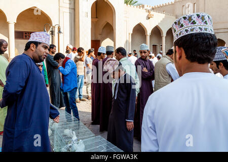 Le vendredi, marché aux oiseaux, Ad Dakhiliyah Nizwa, Oman Région Banque D'Images