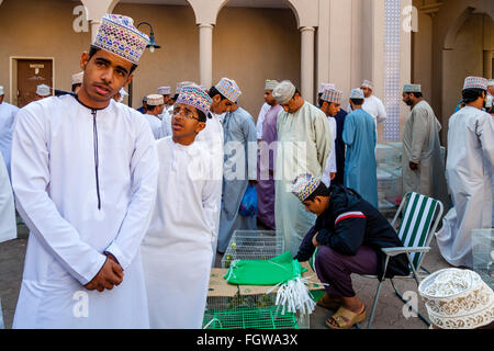 Le vendredi, marché aux oiseaux, Ad Dakhiliyah Nizwa, Oman Région Banque D'Images