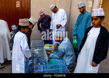 Le vendredi, marché aux oiseaux, Ad Dakhiliyah Nizwa, Oman Région Banque D'Images