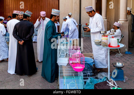 Le vendredi, marché aux oiseaux, Ad Dakhiliyah Nizwa, Oman Région Banque D'Images