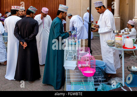 Le vendredi, marché aux oiseaux, Ad Dakhiliyah Nizwa, Oman Région Banque D'Images