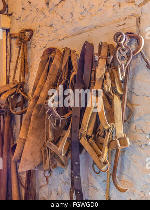 Accessoires pour l'équitation se suspendre à un rack contre un mur de pierre dans une étable à Santa Barbara County, en Californie. La sellerie est Banque D'Images