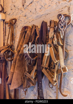 Accessoires pour l'équitation se suspendre à un rack contre un mur de pierre dans une étable à Santa Barbara County, en Californie. Banque D'Images