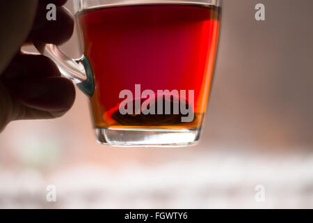 Tasse de thé noir, avec une concentration intense de sachet de thé sur le fond du verre. Banque D'Images