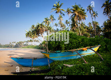 Plage tropicale intacte au Sri Lanka Banque D'Images