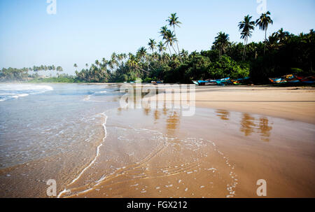 Plage tropicale intacte au Sri Lanka Banque D'Images