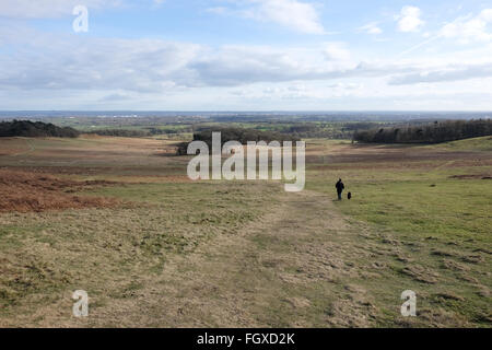 Mais ensoleillée à jour chili bradgate park Banque D'Images