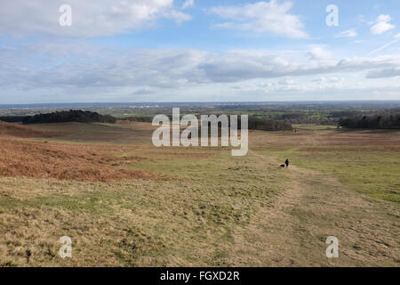 Mais ensoleillée à jour chili bradgate park Banque D'Images