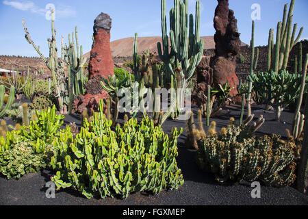 Jardin de cactus par artiste César Manrique, Lanzarote, zone San Juan Island, archipel des Canaries, l'Espagne, l'Europe Banque D'Images