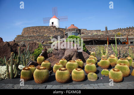 Jardin de cactus par artiste César Manrique, Lanzarote, zone San Juan Island, archipel des Canaries, l'Espagne, l'Europe Banque D'Images