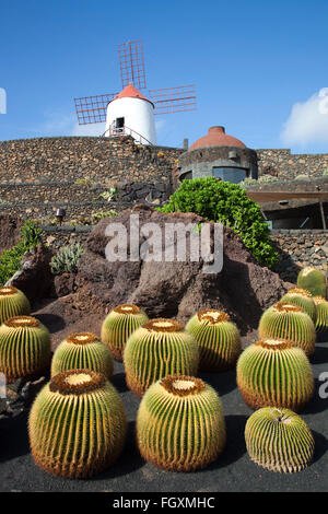 Jardin de cactus par artiste César Manrique, Lanzarote, zone San Juan Island, archipel des Canaries, l'Espagne, l'Europe Banque D'Images