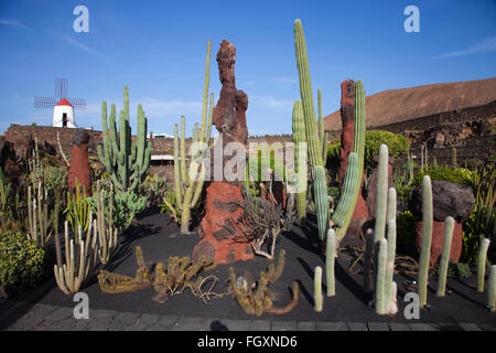 Jardin de cactus par artiste César Manrique, Lanzarote, zone San Juan Island, archipel des Canaries, l'Espagne, l'Europe Banque D'Images