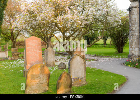 St John's Churchyard, Hale. Banque D'Images