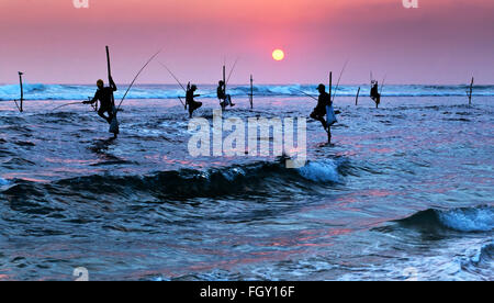 Silhouettes des pêcheurs sur échasses traditionnelles au coucher du soleil près de Galle au Sri Lanka Banque D'Images
